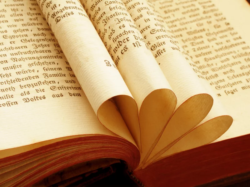 книга, макро, book, macro