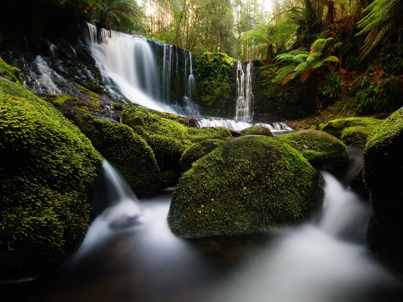 природа, tasmania, мох, horseshoe falls, водопад, australia, mount field national park, камни