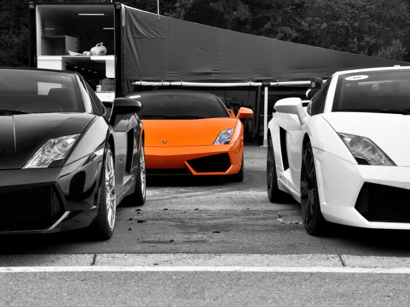 orange, lamborghini gallardo, wallper, чб, cars, обои авто, авто, cars wall, auto, wallpapers, фото