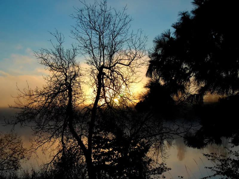 река, закат, небо, деревья, берег, природа, nature