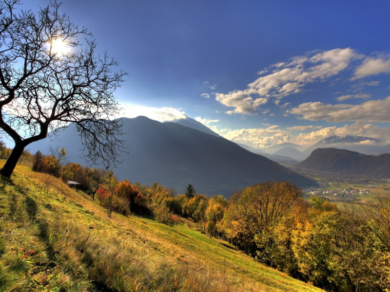 дерево, горы, mountains, sun, свет, лес, природа, пейзаж, ветки, облака, солнце, wood, sky, tree, склон, небо, clouds