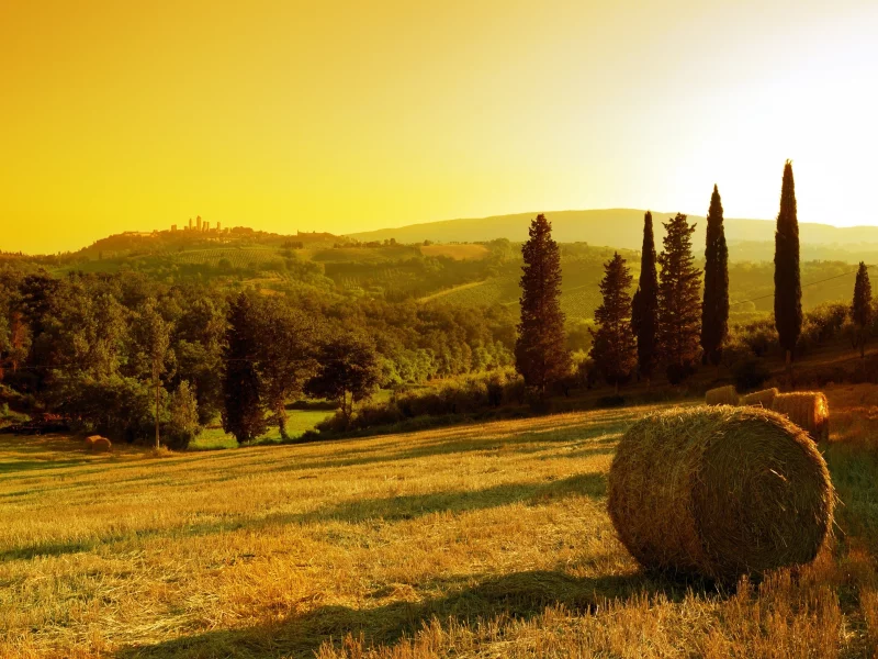 деревья, sunset in village, стог, солнце, закат, сено, поле, небо, золотое