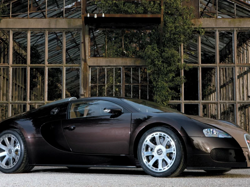 стиль, оранжерея, veyron, bugatti