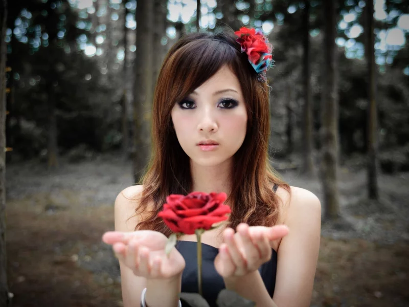 брюнетка, роза, девушка, asian, wallpapers, girl, азиатка