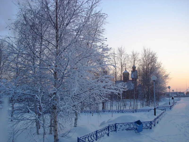 церковь, мусорка, деревья