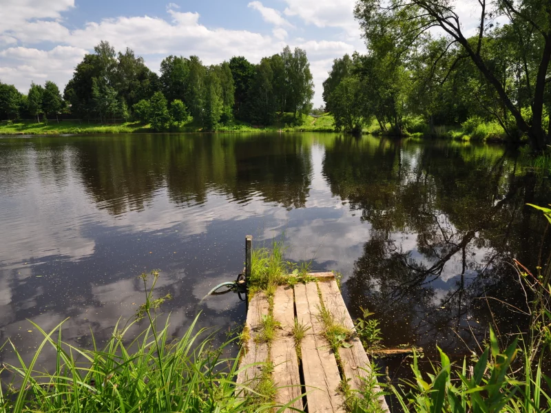 пруд, мостик, растения, вода, деревья