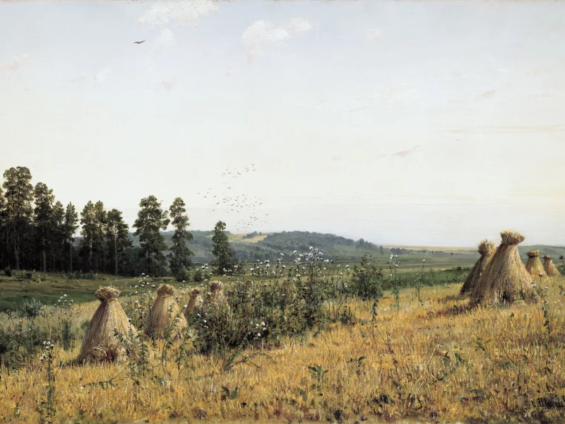 пейзаж полесья, шишкин, картина