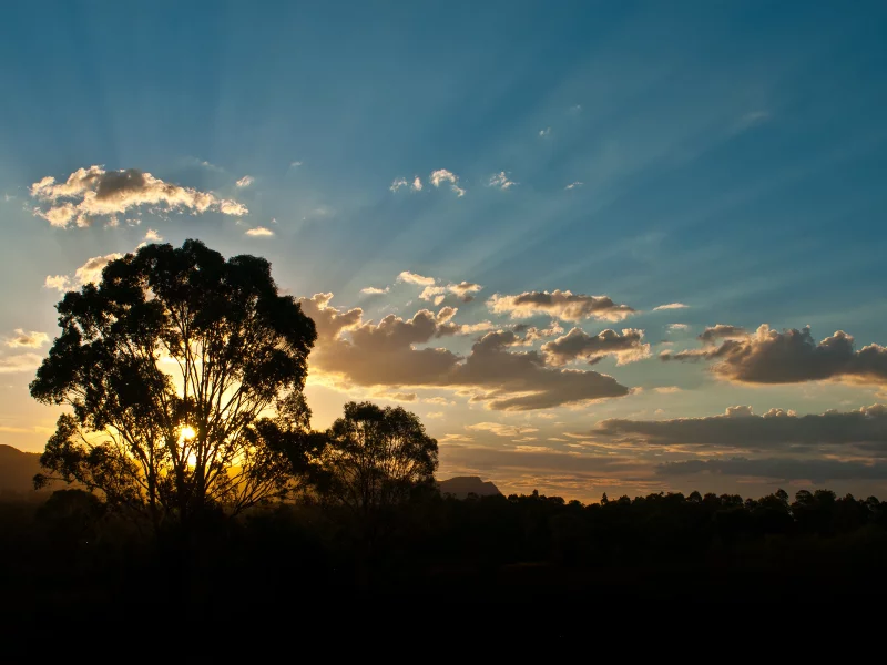 австралия, деревья, деревья, australia, лучи, облака, солнце, лес, лучи солнца, горы, закат, вечер, дерево