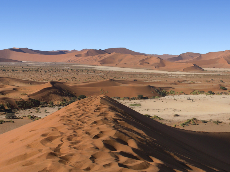 namibia, барханы, фото, пустыня, песок, кусты, south africa, дюны, южная африка, панорама, намибия, небо, горизонт