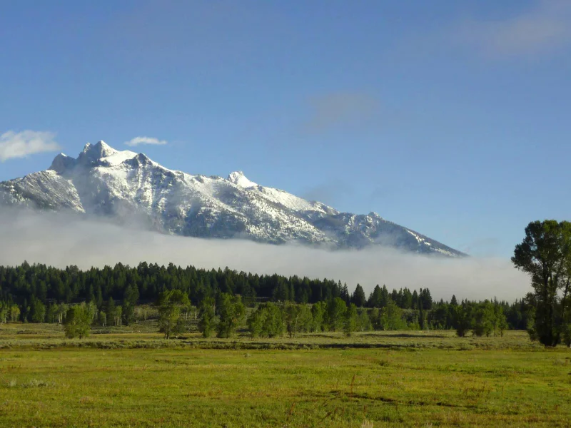 foggy teton mountains, природа, лес, горы, grand teton, national park
