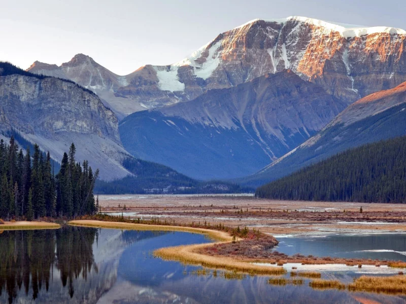 jasper, горы, лес, alberta, national park, canada, озеро