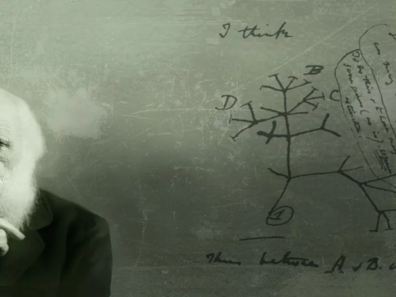 схемы, ученый, теория эволюции, charles darwin, чарльз дарвин, надписи
