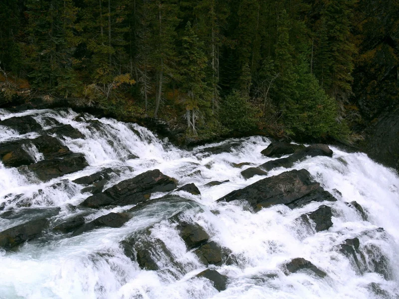 waterfall, природа, вода, водопад, обои, деревья