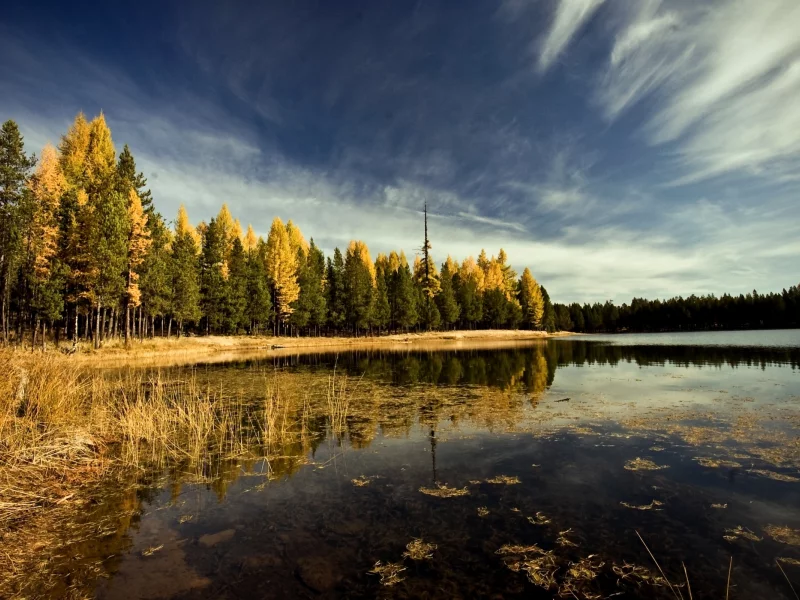 облака, природа, река, обои, пейзаж, фон, берег, лес, wallpapers, осень, деревья, небо