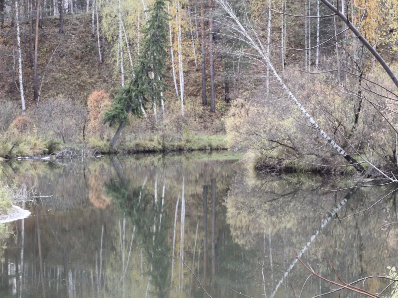 речка, Кантат
