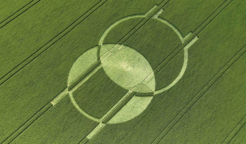 круги, нло, поле