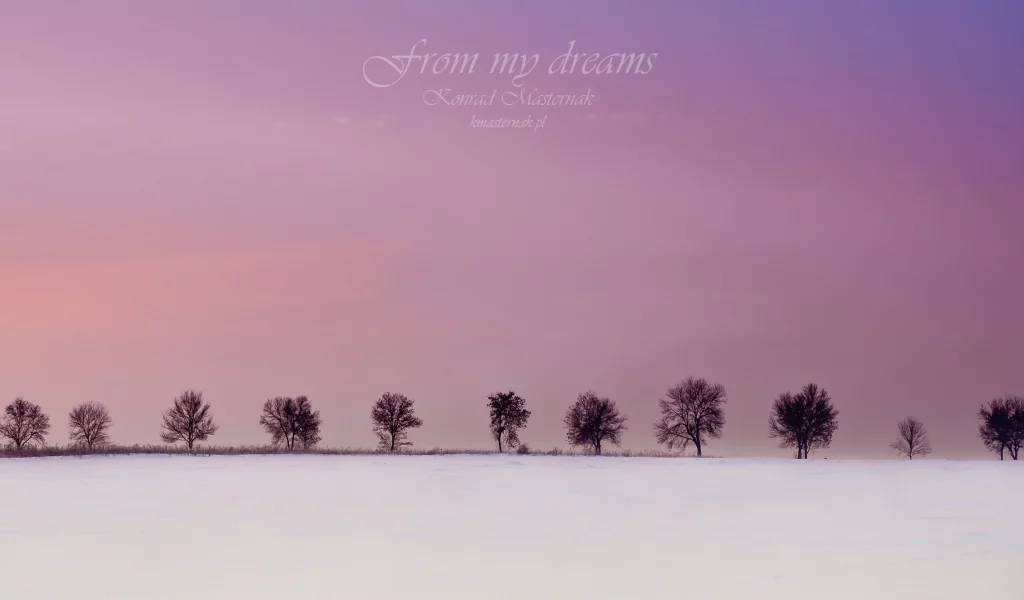 from my dreams, деревья, зима