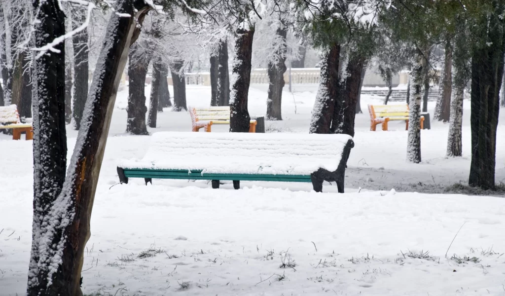 снег, зима, парк, деревья, разноцветные, snow park, скамейки