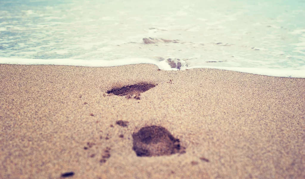 вода, макро, след, песок, 2560x1600, море, sea, macro, print, water, sand