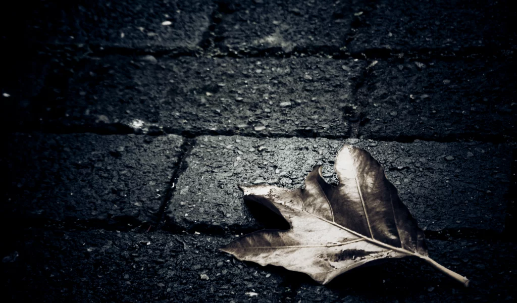 земля, асфальт, лист, темный фон, плитка, dark, макро, alone, одиночество