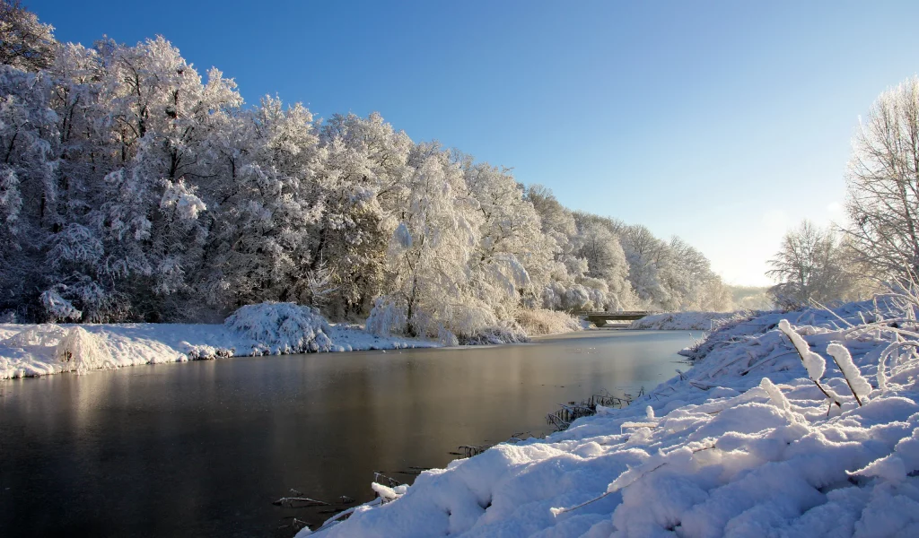 река, снег, деревья