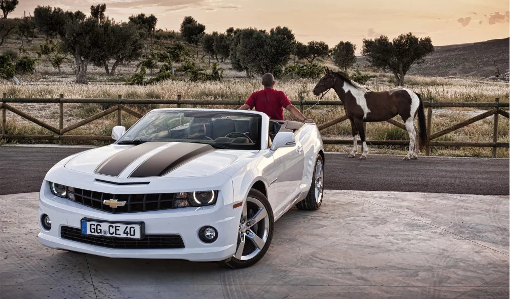 chevrolet, забор, camaro, мужчина, лошадь, дорога