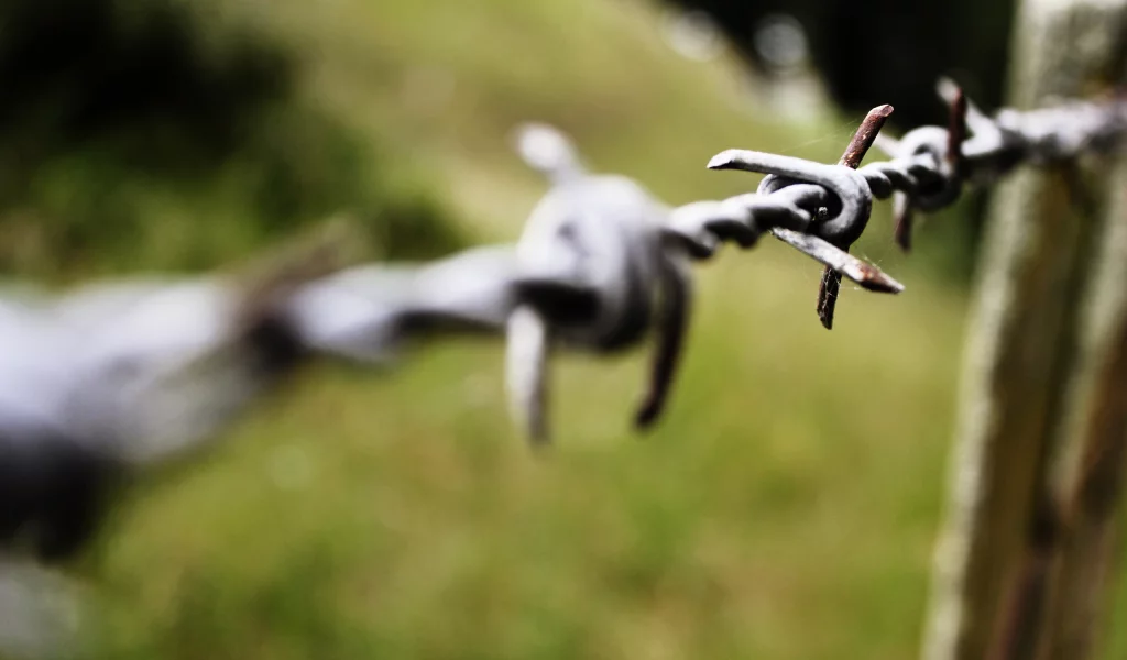 боке, макро, bokeh, паутина, web, 2560x1600, focus, фокус, macro, колючая проволока, barbed wire