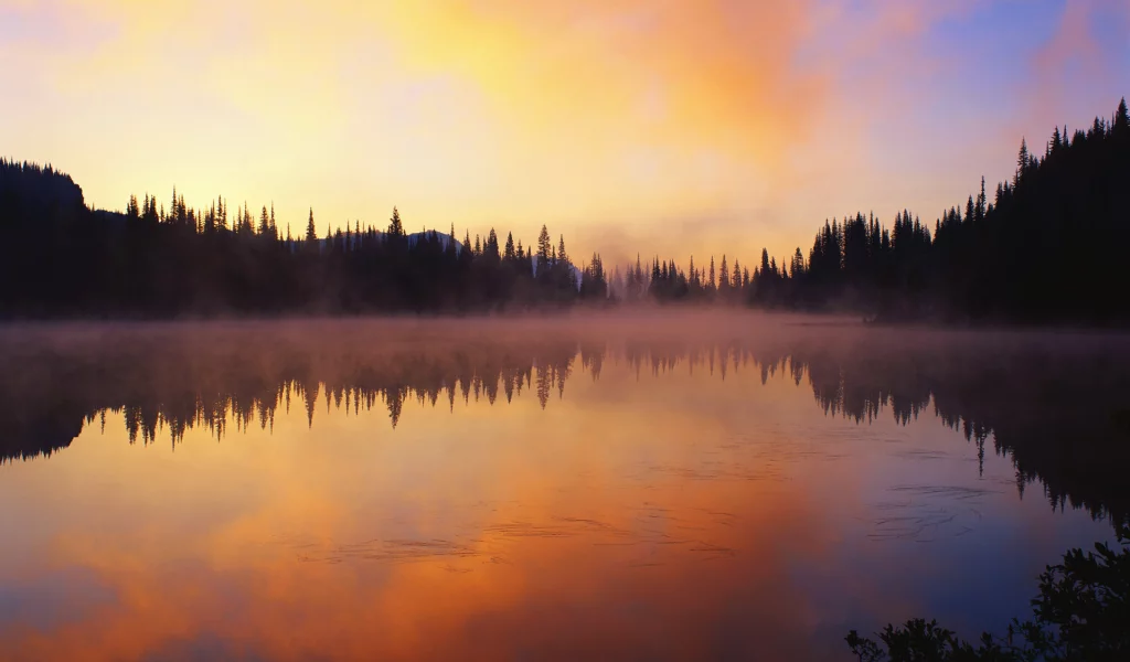 лес, природа, закат, озеро, пейзаж