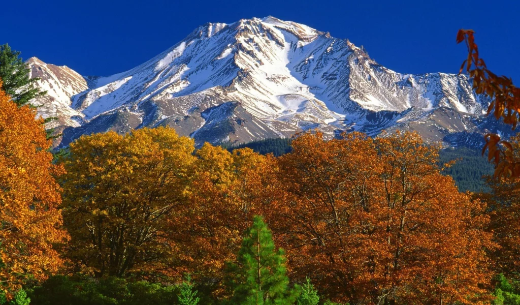 лес, сша, калифорния, осень, горы