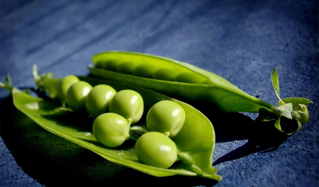 горох, макро, зеленый, горошек, peas, macro