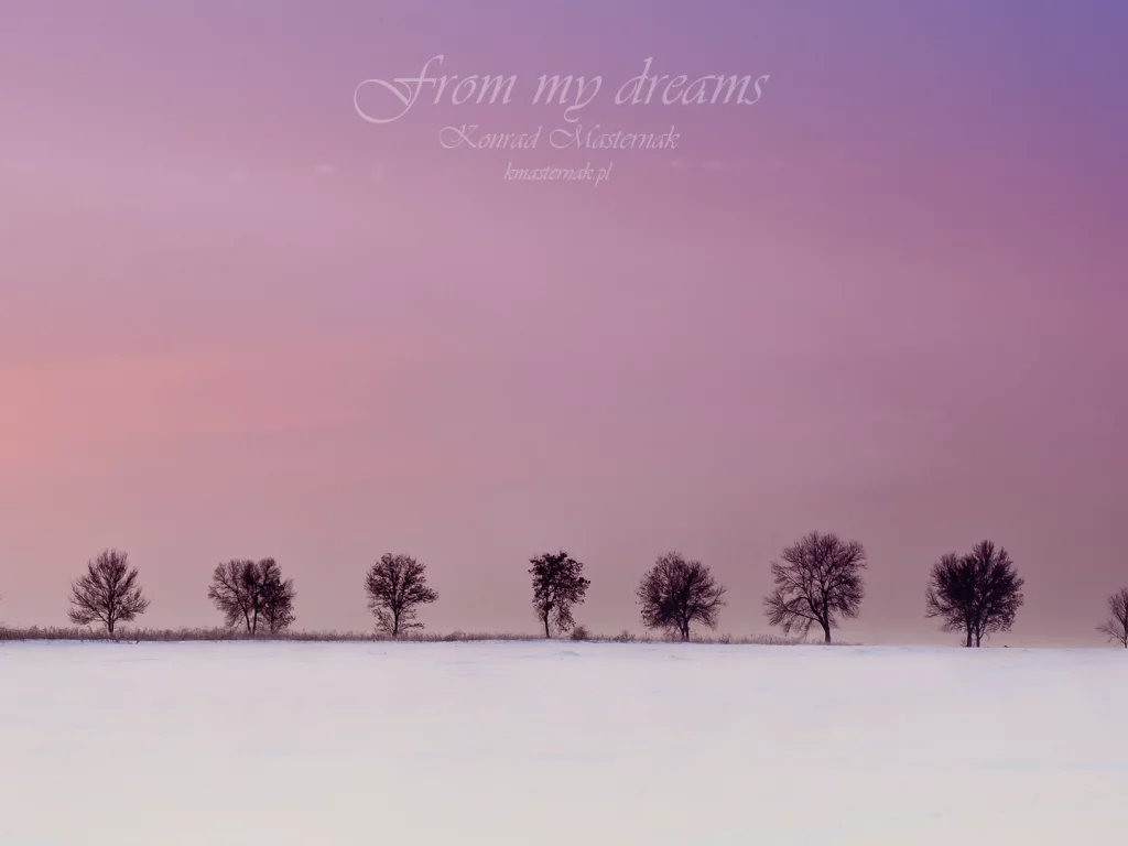 from my dreams, деревья, зима