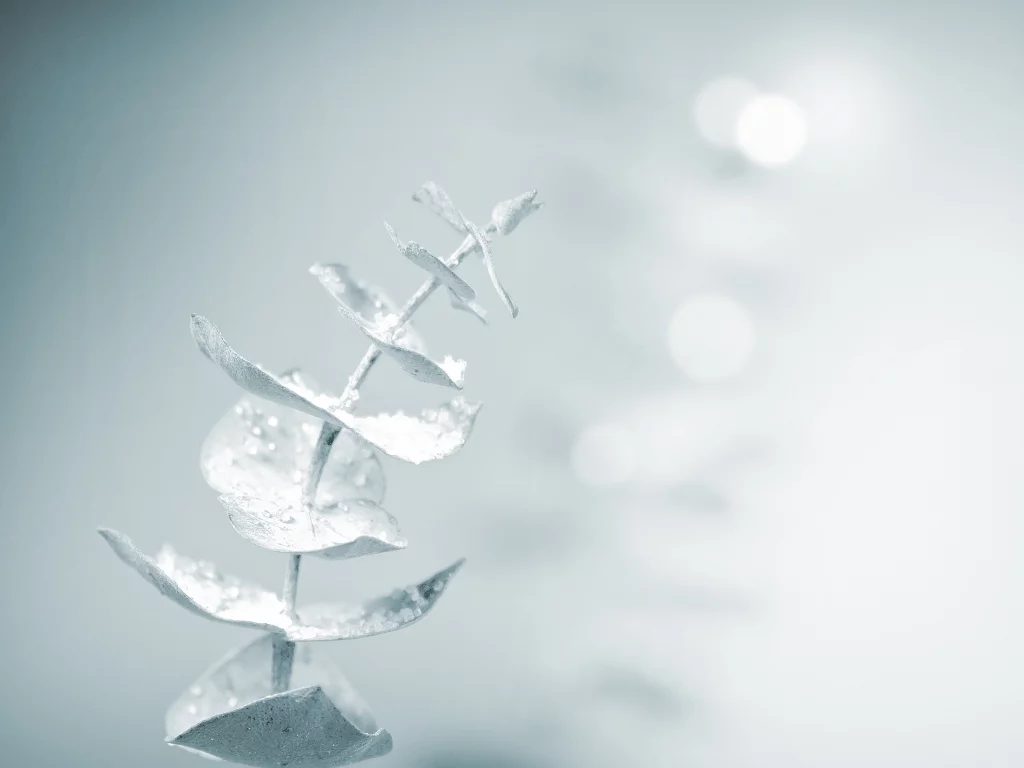 magic touch, snow, soft