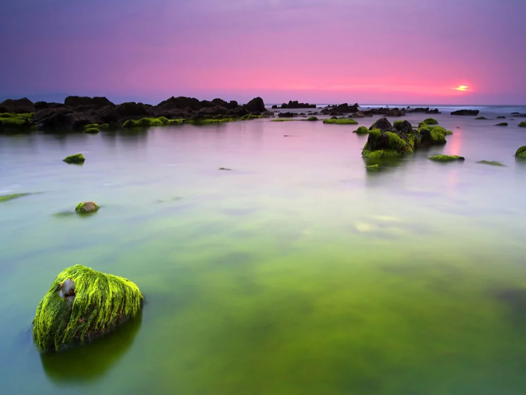 море, зеленые, вода, утро, океан, камни