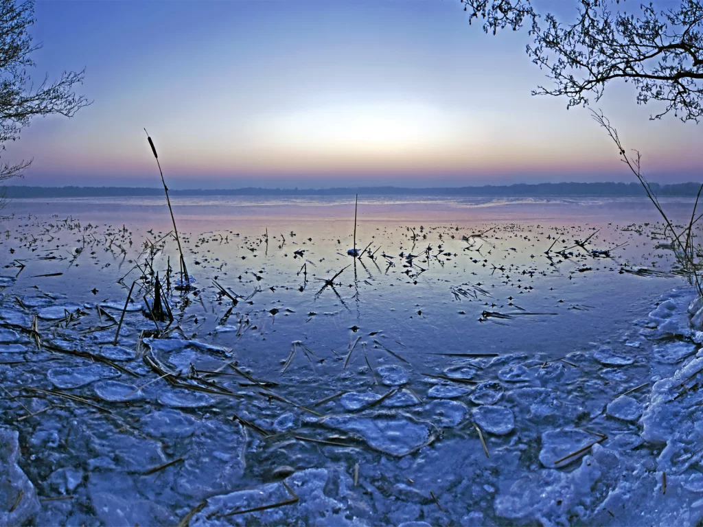 небо, ветки, пруд, зима, камыши, озеро, вечер, вода, лёд, горизонт, лес