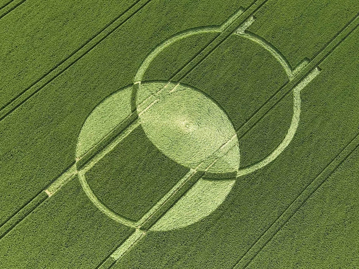 круги, нло, поле