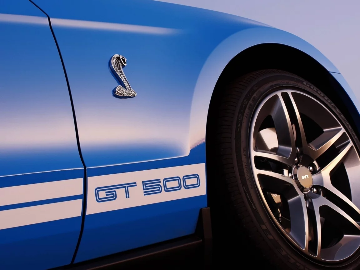 shelby, гт500, mustang, ford, диски, форд, muscle car, gt500, синий, надпись, кобра, эмблема, мустанг, шелби, мускул кар