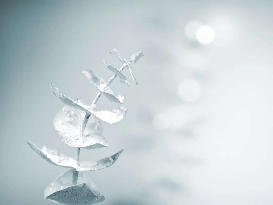 magic touch, snow, soft