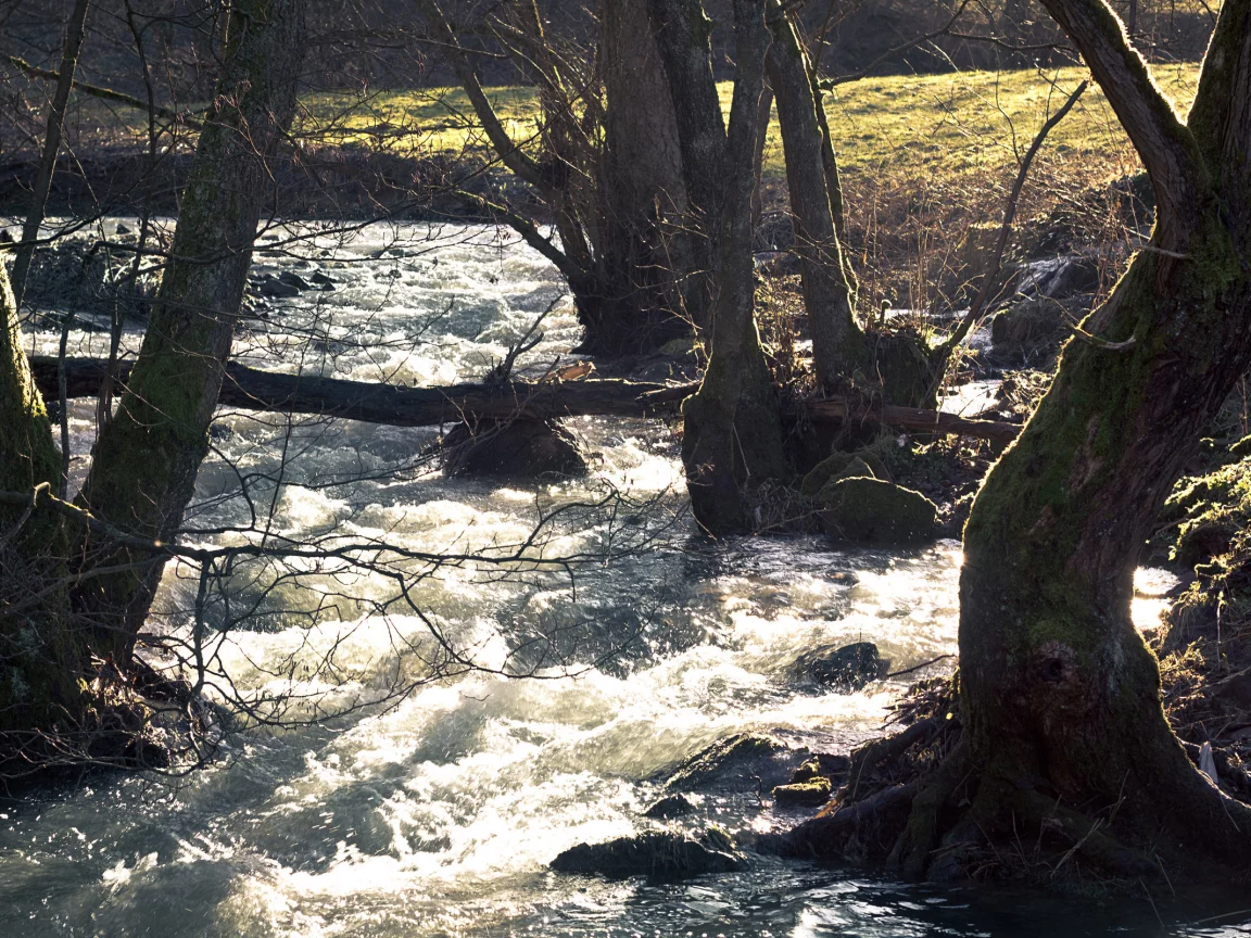 вода, поток, река