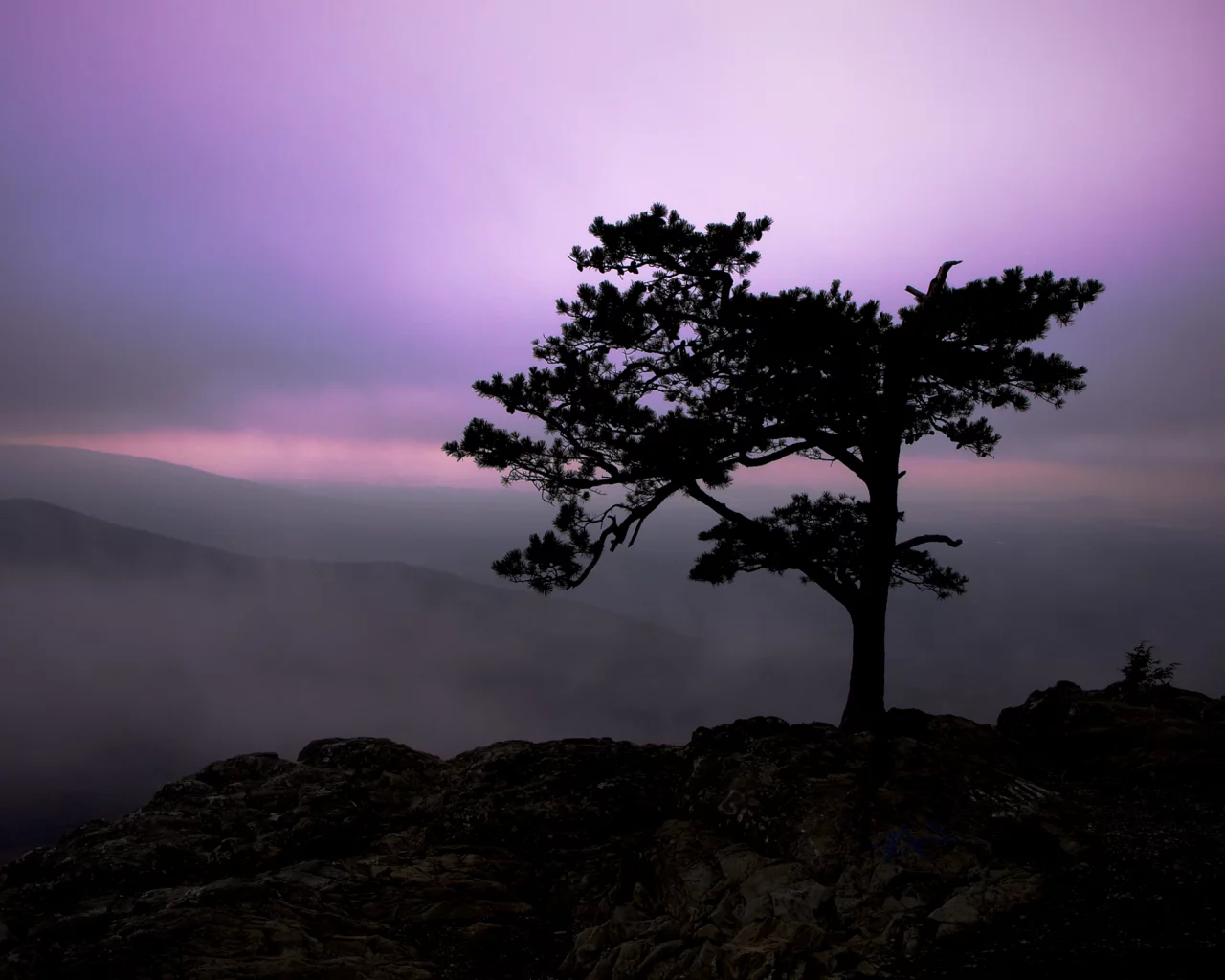 небо, дерево, свет, природа, горы, 2560x1600, twilight, туман, nature, пейзаж, сумерки, tree, fog, rocks, landscape, sky, скалы, light, mountains