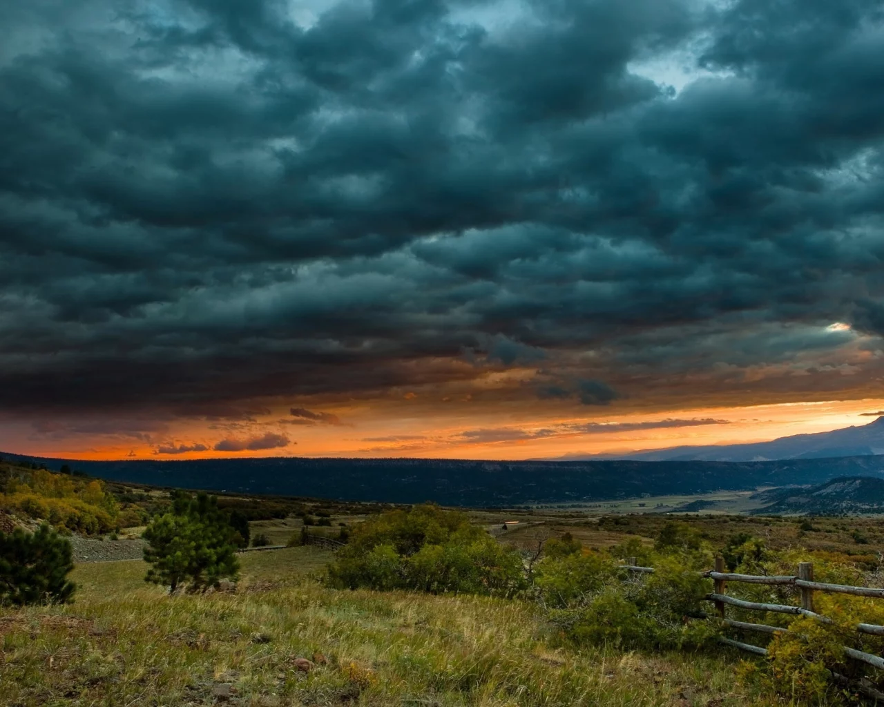 трава, забор, clouds, кусты, тучи, sunset, закат, пейзаж, sky, небо