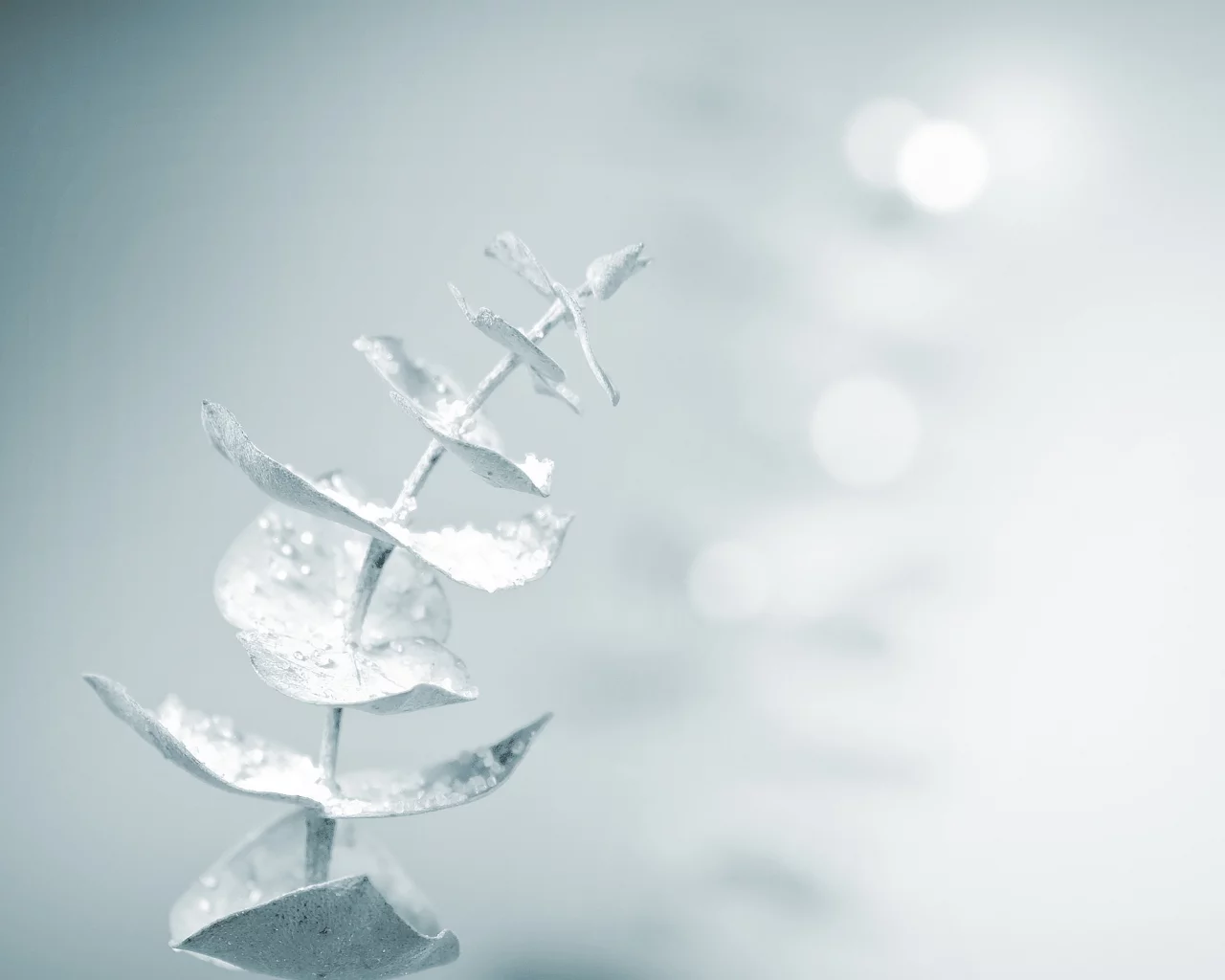 magic touch, snow, soft