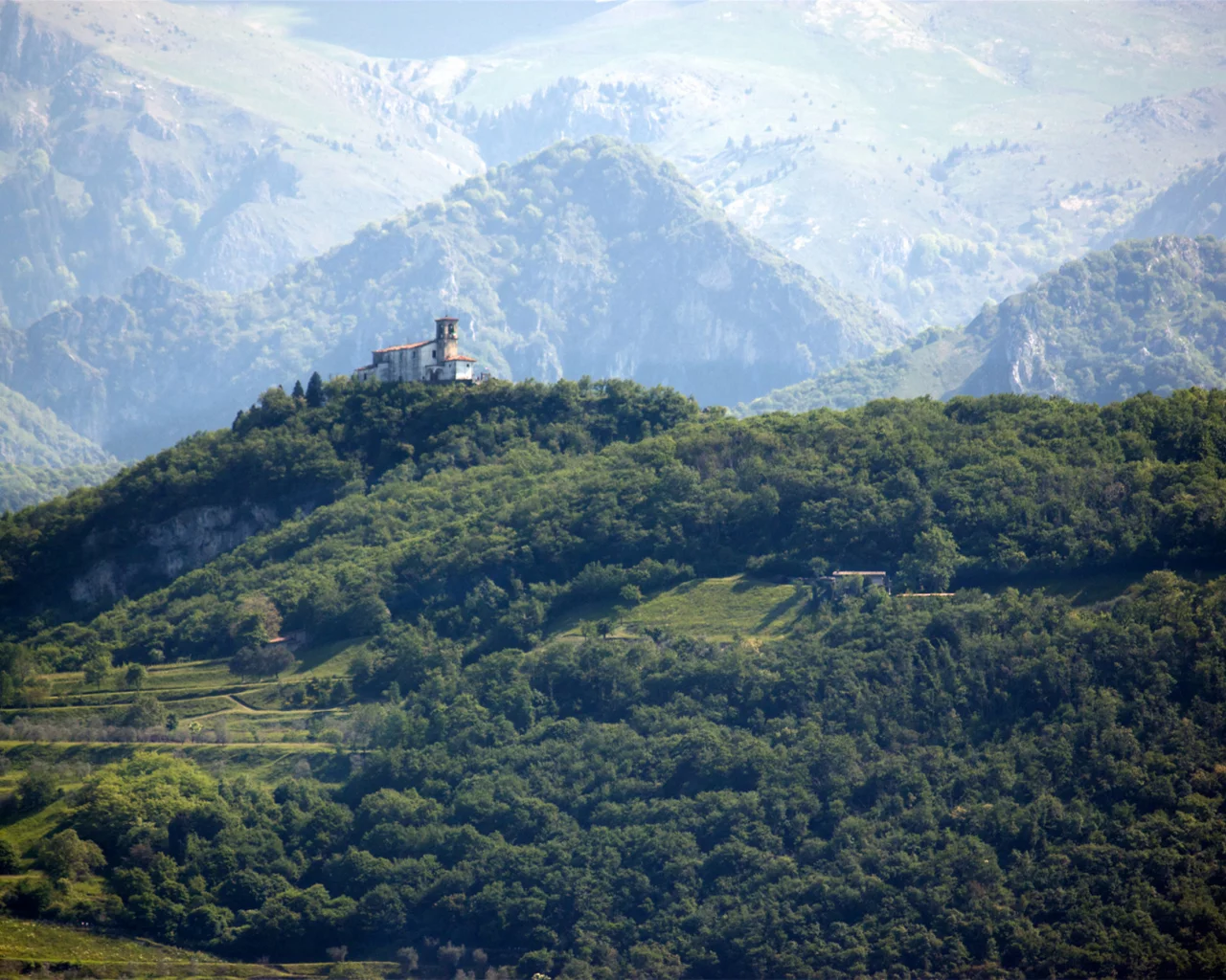 горы, поместье, лес