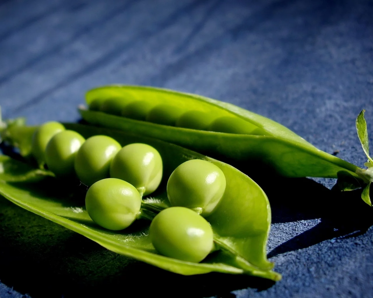 горох, макро, зеленый, горошек, peas, macro
