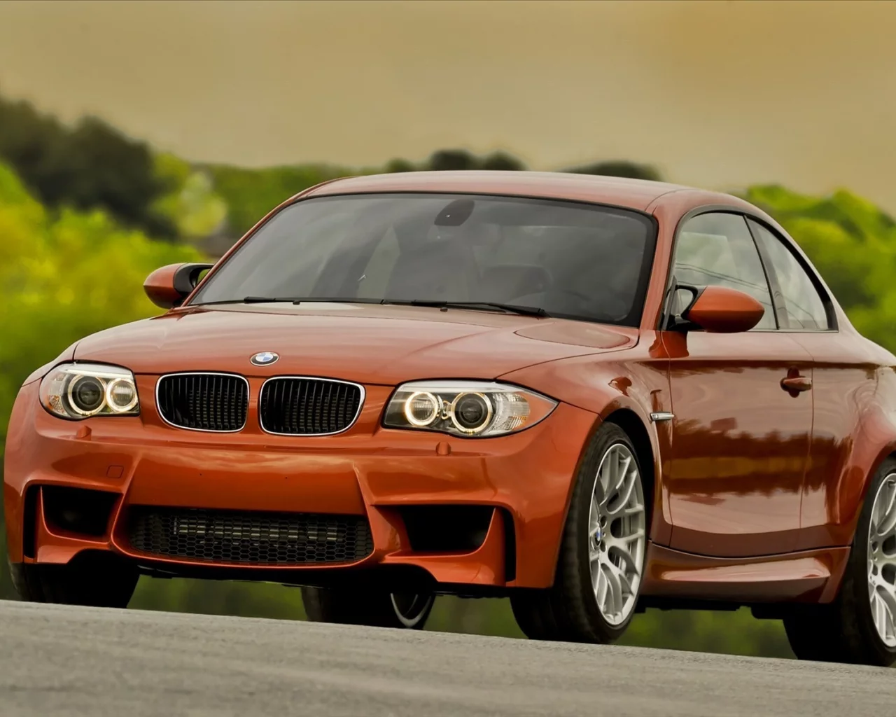 машины, бехи, bmw, машина с машинами, 1 series m coupe, дорога, бмв, тачки