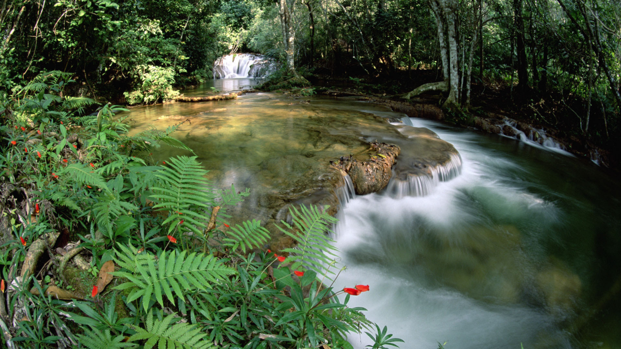 fonte de __guas e cascata, limestone springs and waterfalls, brasil, brazil, serra de bodoquena at mato grosso, serra de bodoquena no mato grosso