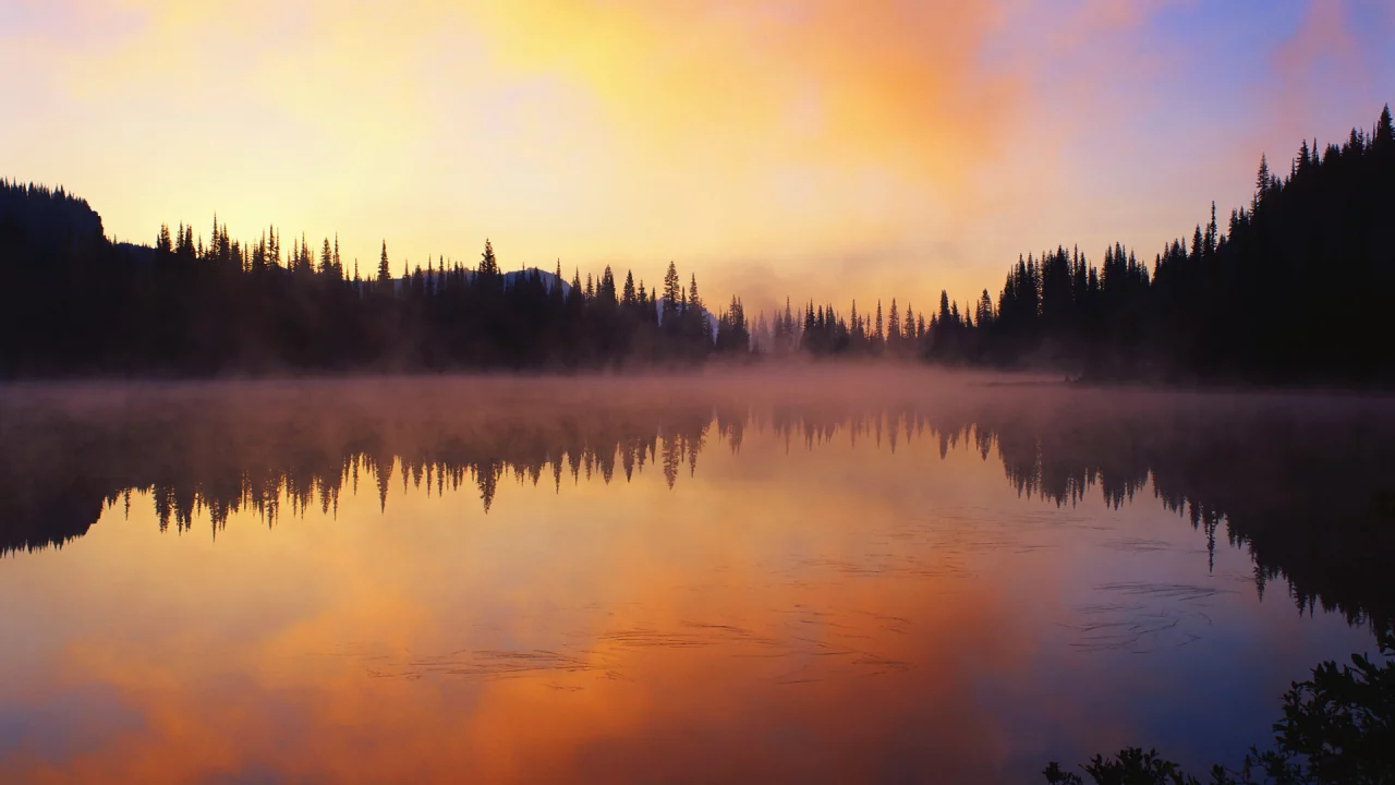 лес, природа, закат, озеро, пейзаж