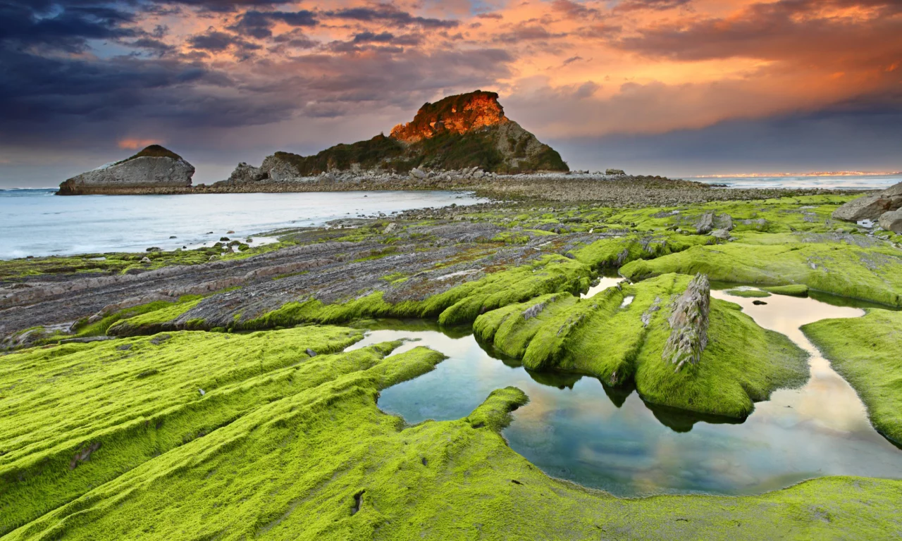 камни, водоросли, скалы, море, небо