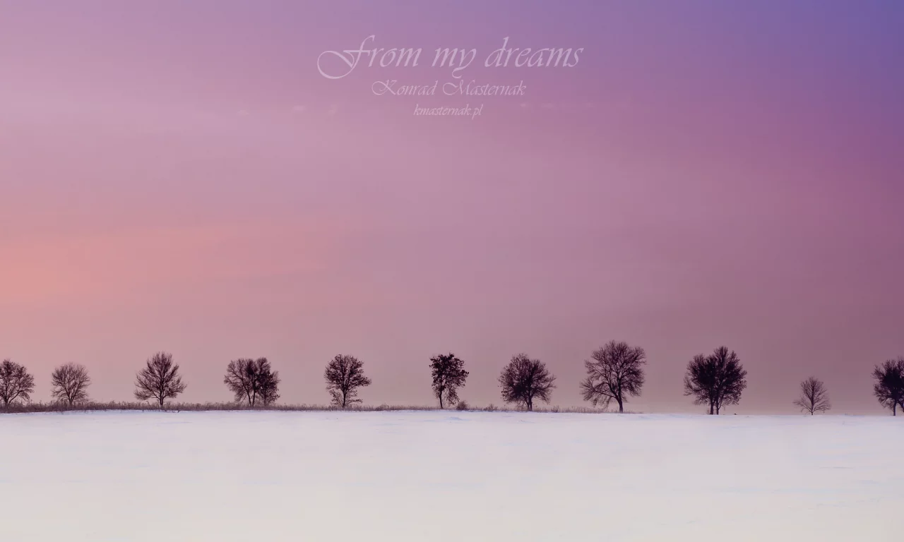 from my dreams, деревья, зима