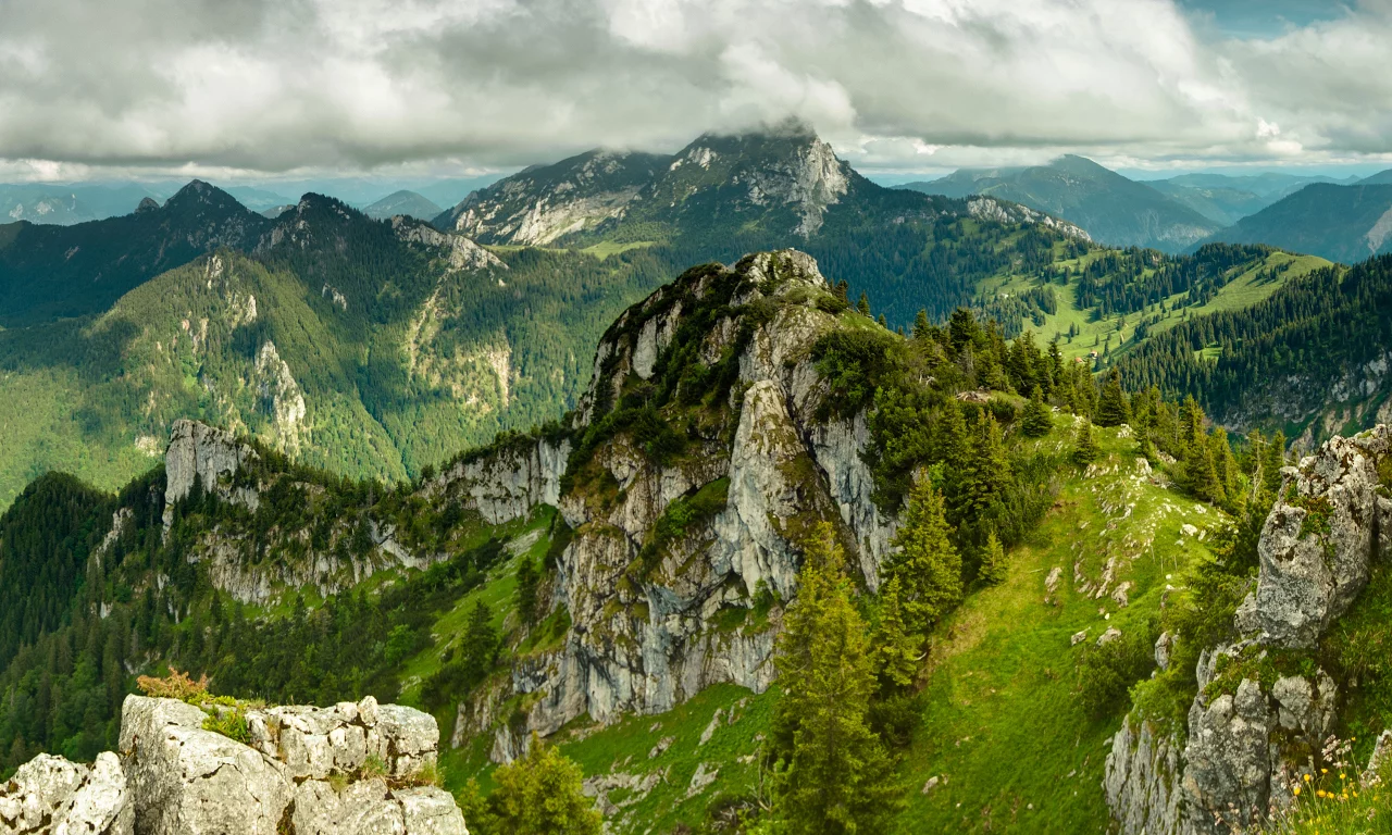 nature, landscape, greenery, деревья, трава, облака, природа, trees, mountains, clouds, небо, sky, grass, зелень, пейзаж, shadow, тень, горы, 2560x1600
