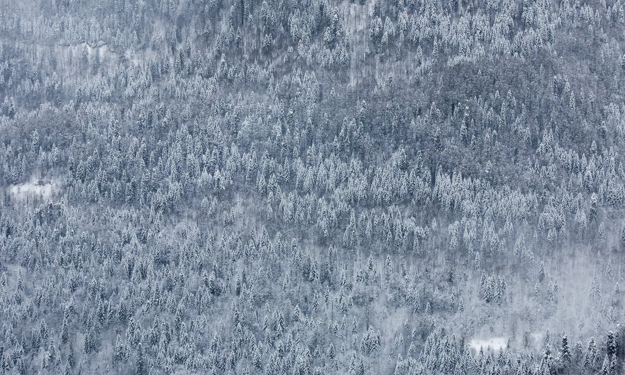 красная поляна, природа, дмитрий чистопрудов, пейзаж, wallpaper, снег, россия, зима, обои, край, лес, гора, сочи, краснодарский